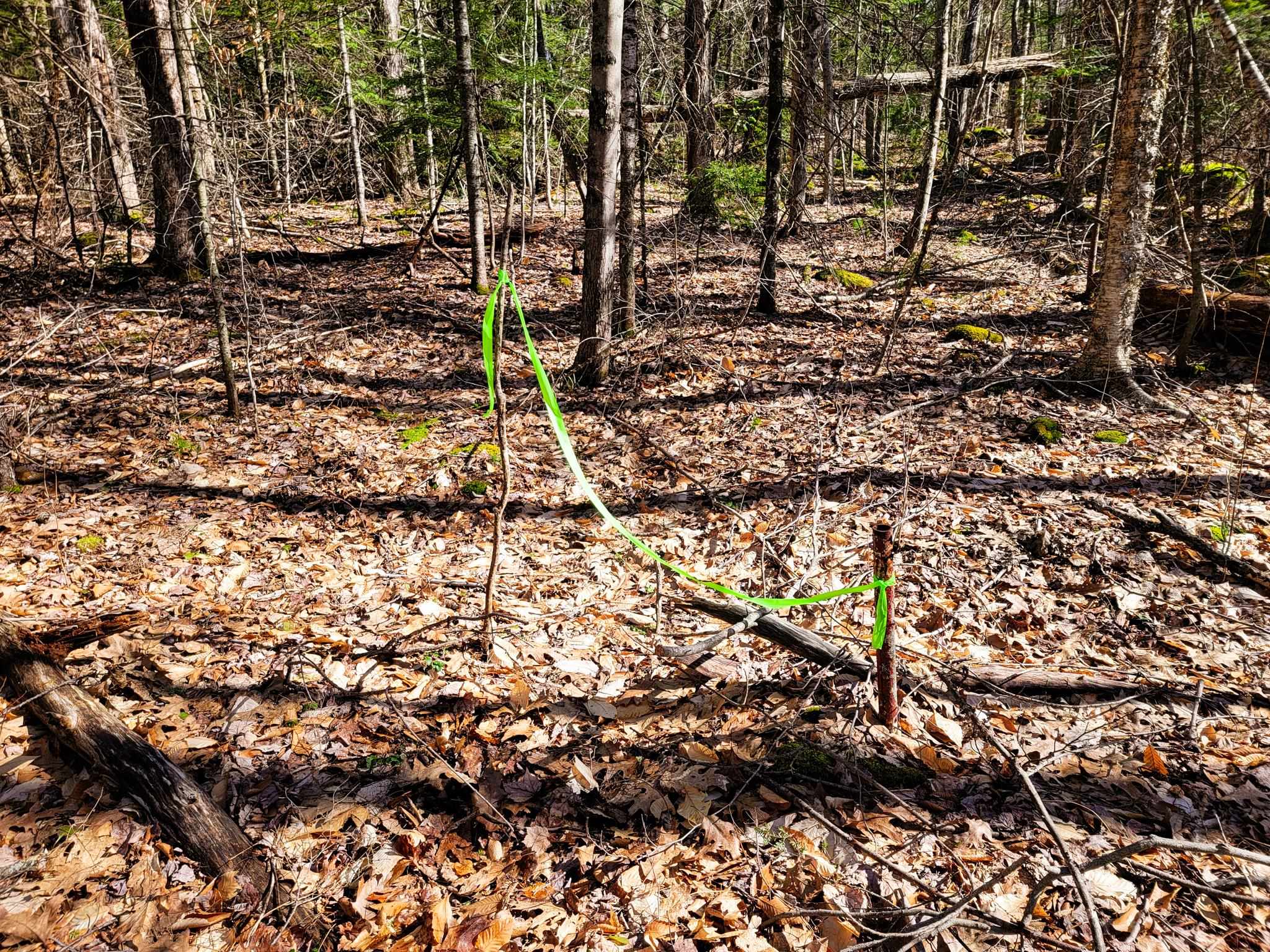 405 Bailey Road Washington, NH 03280 - Photo 9 of 25