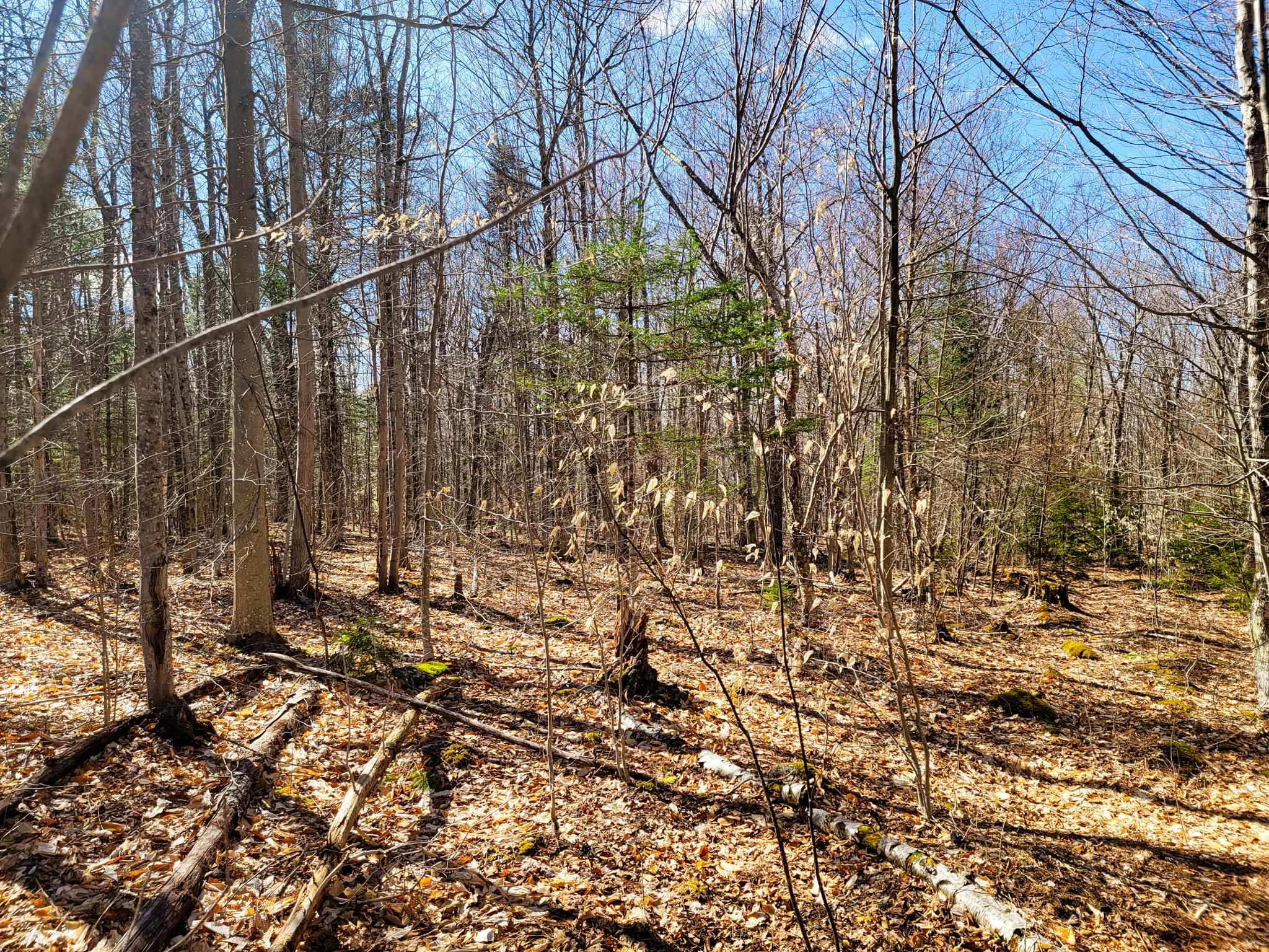 405 Bailey Road Washington, NH 03280 - Photo 10 of 25