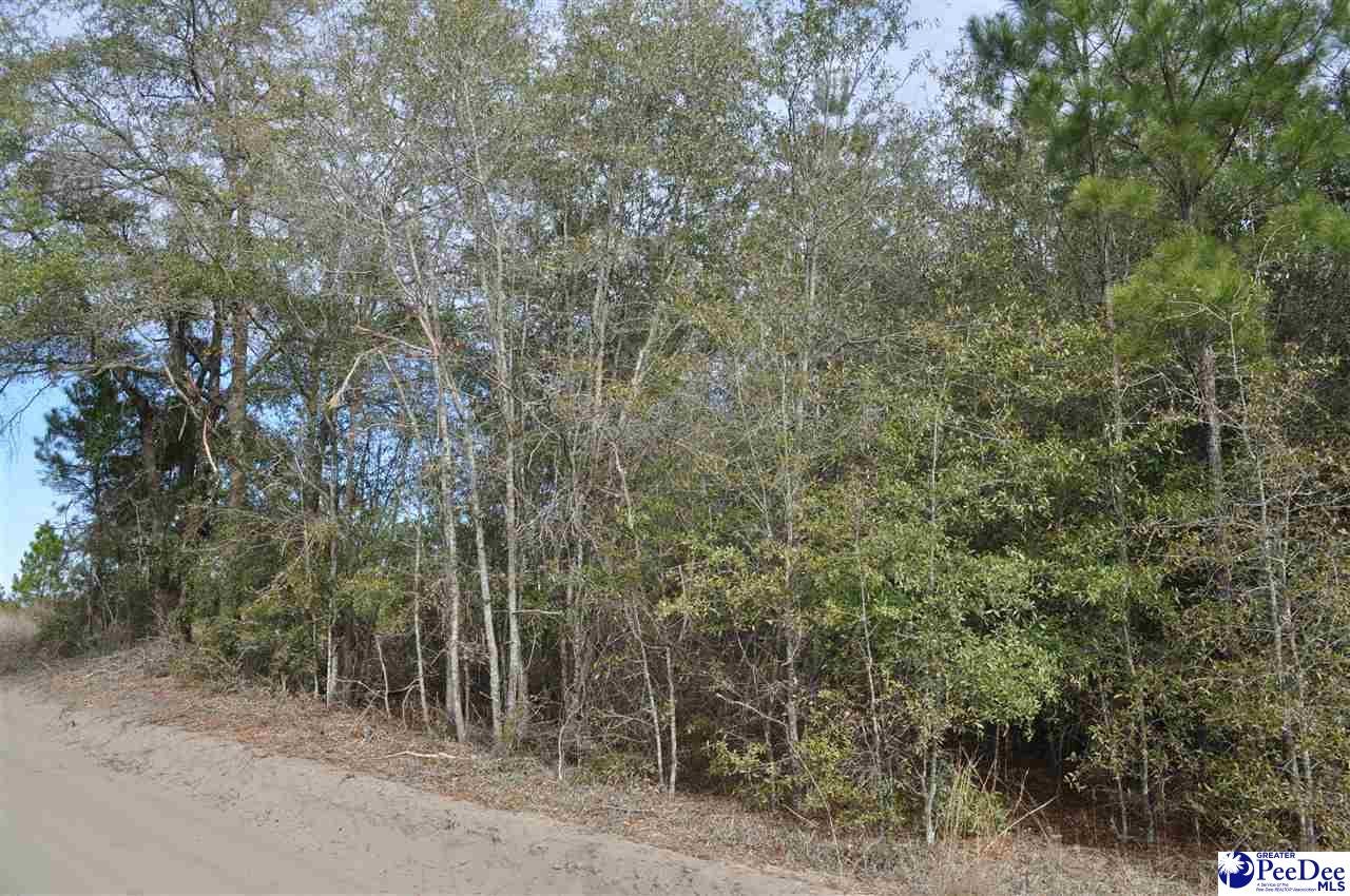 Tbd Goose Pond Road Gresham, SC 29546 - Photo 1 of 1 Gallery Image 1