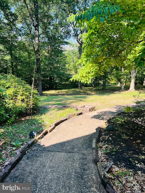 348 Pineville Road Newtown, PA 18940 - Photo 5 of 25 Exterior side yard
