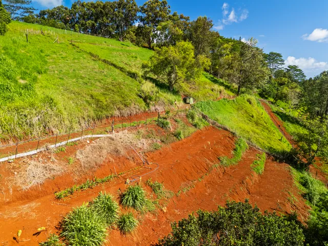 $649,950 | Lot 75-a-1 Lot 75-a-1 Kaumualii Highway, Kalaheo, HI 96741