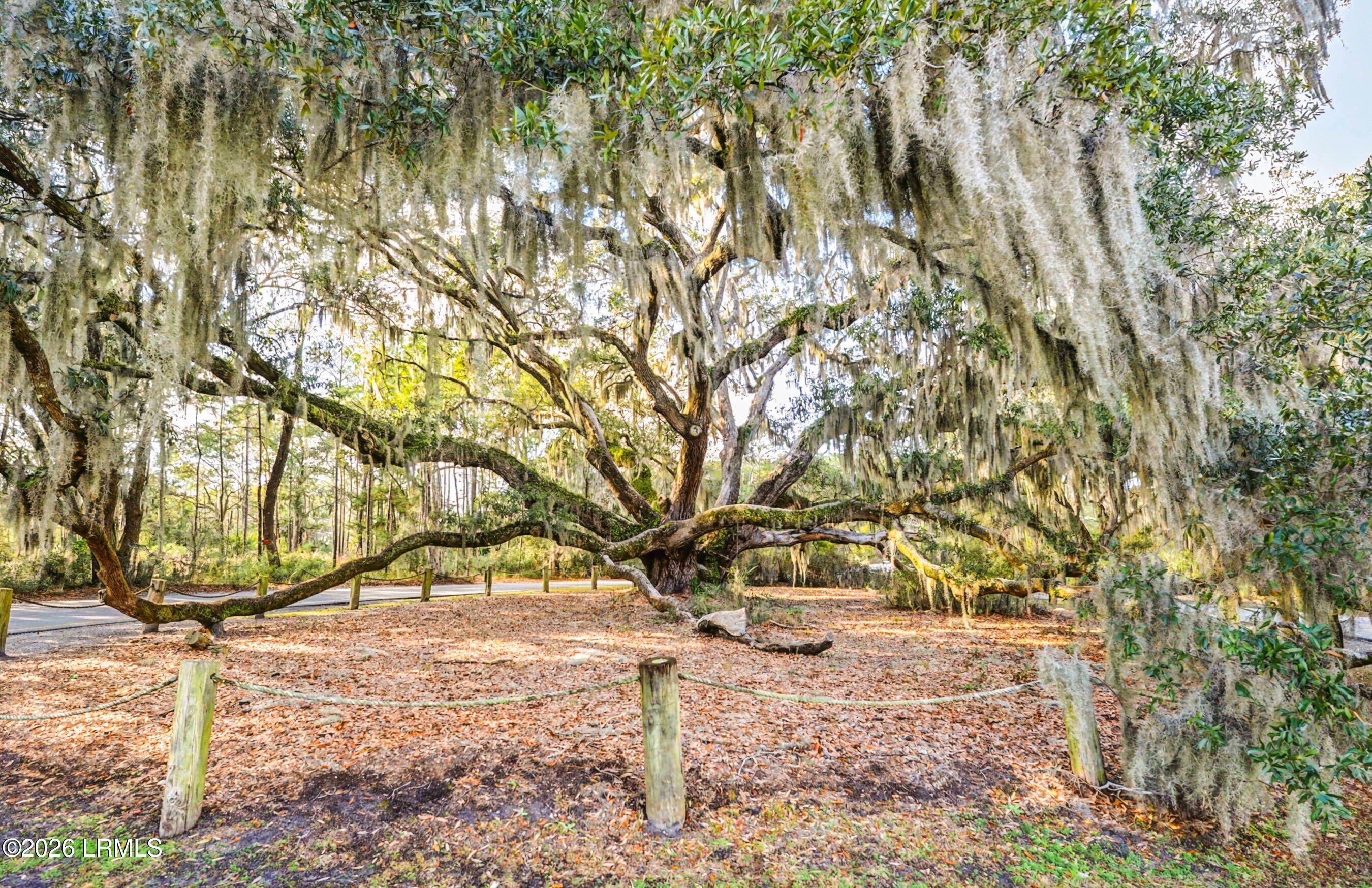 1812 Dolphin Row Drive Beaufort, SC 29906 - Photo 78 of 78 DSC03615.jpg-SMALL