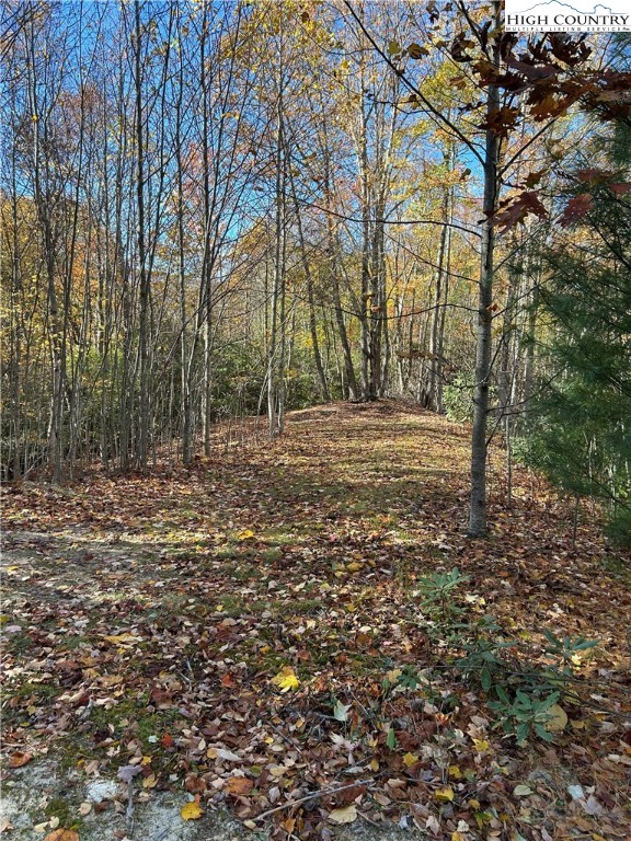 Lot 4-b Chestnut Mountain Road Banner Elk, NC 28604 - Photo 11 of 22 a fire hydrant in the middle of a field
