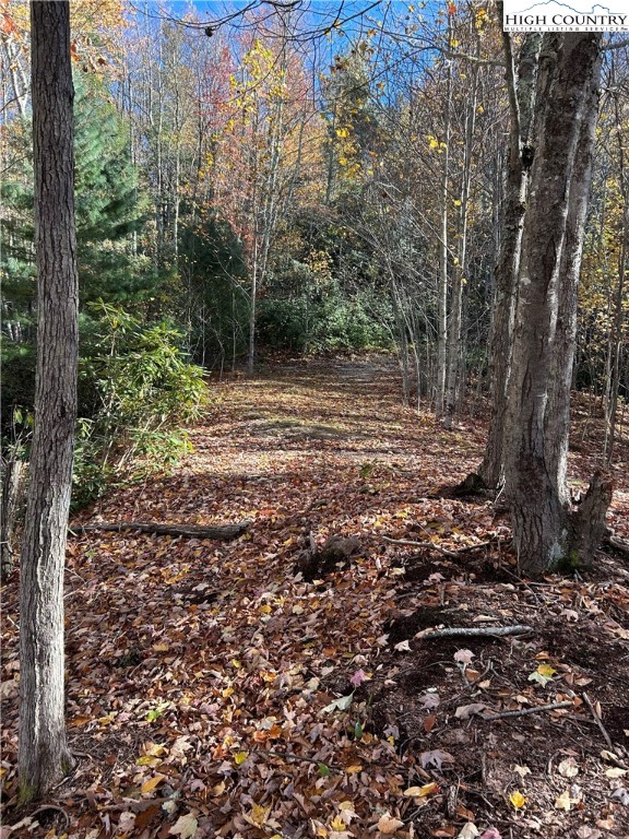 Lot 4-b Chestnut Mountain Road Banner Elk, NC 28604 - Photo 12 of 22 a view of outdoor space and trees
