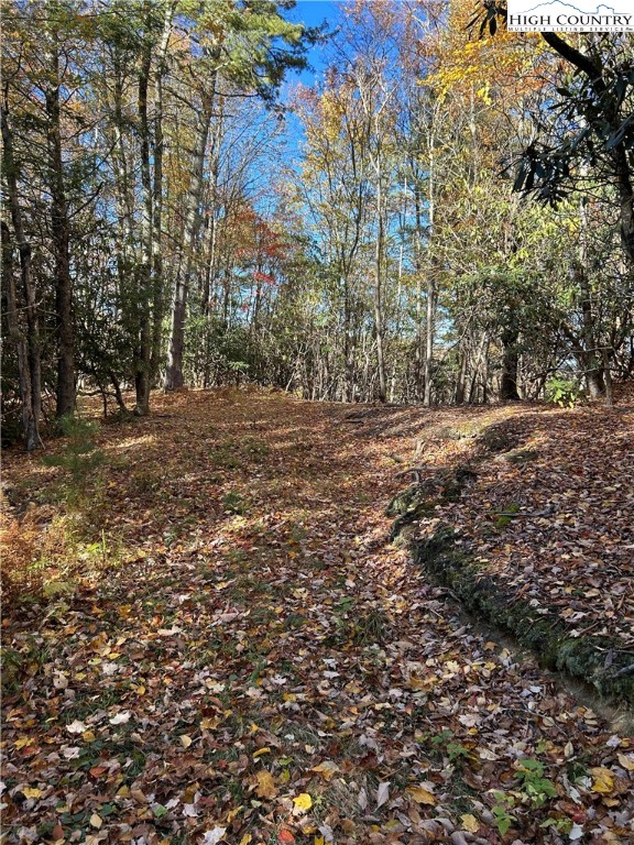 Lot 4-b Chestnut Mountain Road Banner Elk, NC 28604 - Photo 14 of 22 a view of a yard with large trees