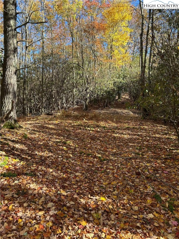 Lot 4-b Chestnut Mountain Road Banner Elk, NC 28604 - Photo 15 of 22 a view of a yard with a tree