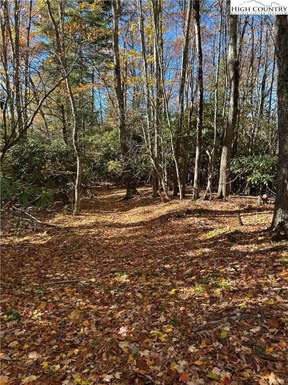Lot 4-b Chestnut Mountain Road Banner Elk, NC 28604 - Photo 16 of 22 a view of a yard with plants