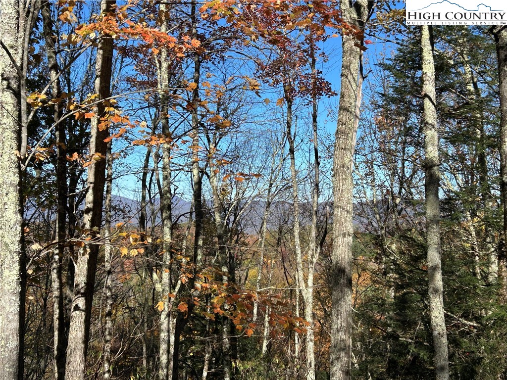 Lot 4-b Chestnut Mountain Road Banner Elk, NC 28604 - Photo 18 of 22