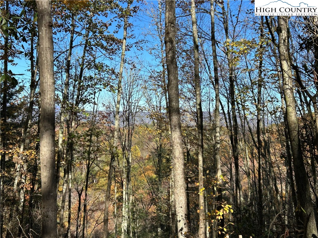 Lot 4-b Chestnut Mountain Road Banner Elk, NC 28604 - Photo 19 of 22