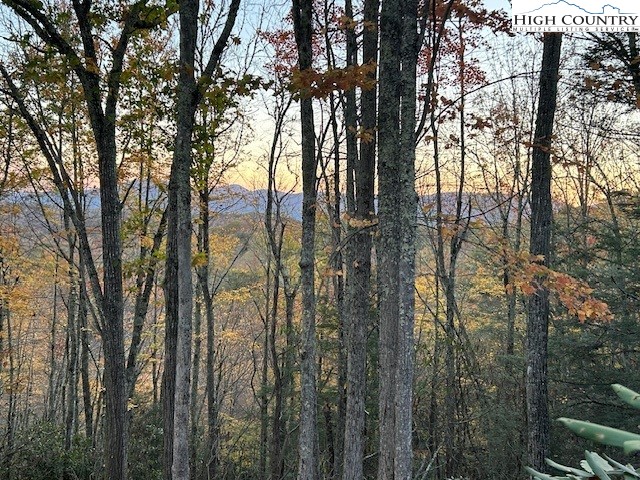 Lot 4-b Chestnut Mountain Road Banner Elk, NC 28604 - Photo 20 of 22 a view of a forest that has large trees