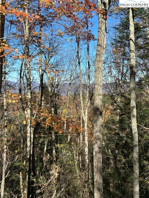 Lot 4-b Chestnut Mountain Road Banner Elk, NC 28604 - Photo 21 of 22