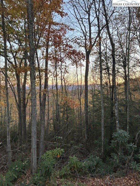 Lot 4-b Chestnut Mountain Road Banner Elk, NC 28604 - Photo 22 of 22