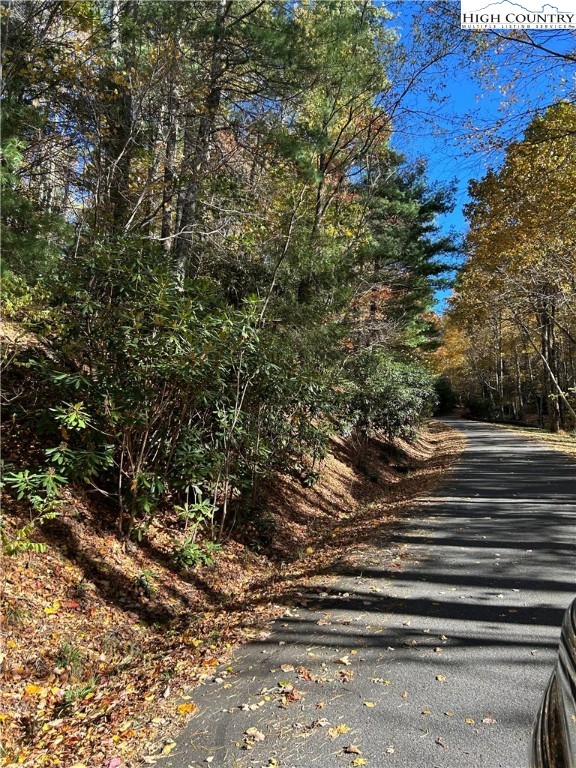 Lot 4-b Chestnut Mountain Road Banner Elk, NC 28604 - Photo 3 of 22