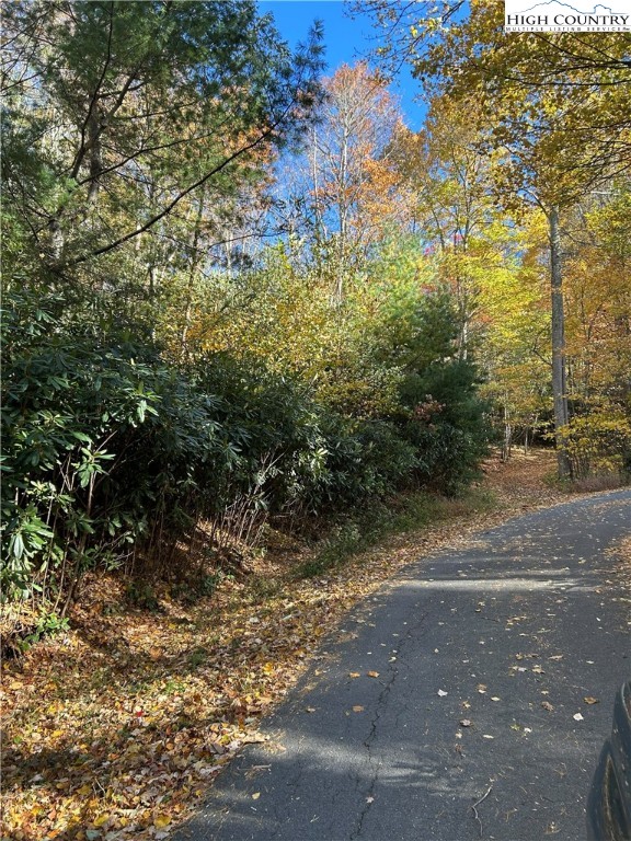 Lot 4-b Chestnut Mountain Road Banner Elk, NC 28604 - Photo 4 of 22 a view of a yard with plants and trees