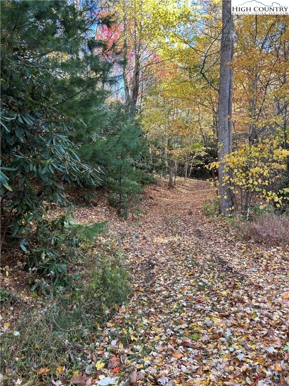 Lot 4-b Chestnut Mountain Road Banner Elk, NC 28604 - Photo 5 of 22 a view of a yard with plants and a bench