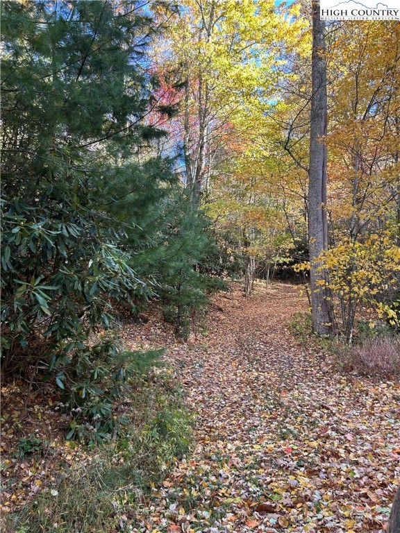 Lot 4-b Chestnut Mountain Road Banner Elk, NC 28604 - Photo 6 of 22 a view of a forest with trees