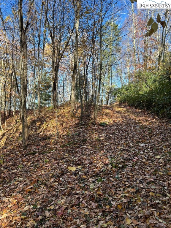 Lot 4-b Chestnut Mountain Road Banner Elk, NC 28604 - Photo 7 of 22 a view of backyard of house with green space