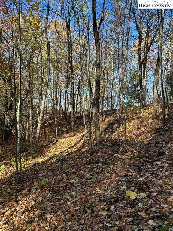 Lot 4-b Chestnut Mountain Road Banner Elk, NC 28604 - Photo 8 of 22 a view of a yard with trees