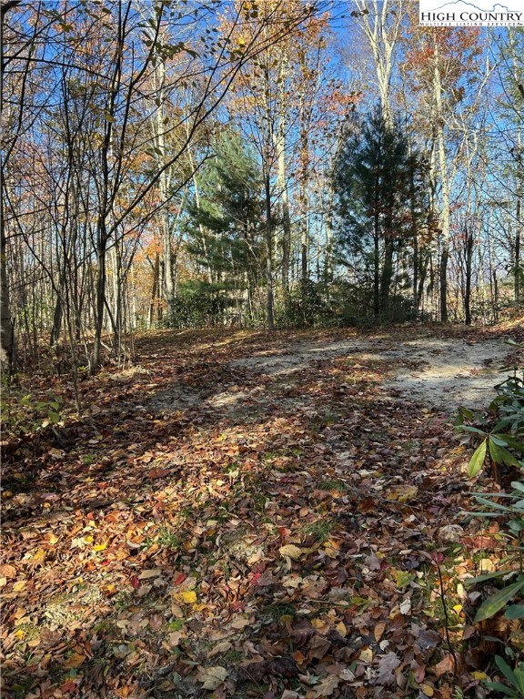 Lot 4-b Chestnut Mountain Road Banner Elk, NC 28604 - Photo 9 of 22 a view of a yard with a tree