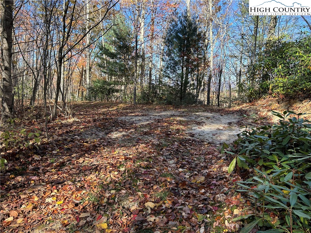 Lot 4-b Chestnut Mountain Road Banner Elk, NC 28604 - Photo 10 of 22 a view of a yard with plants and trees