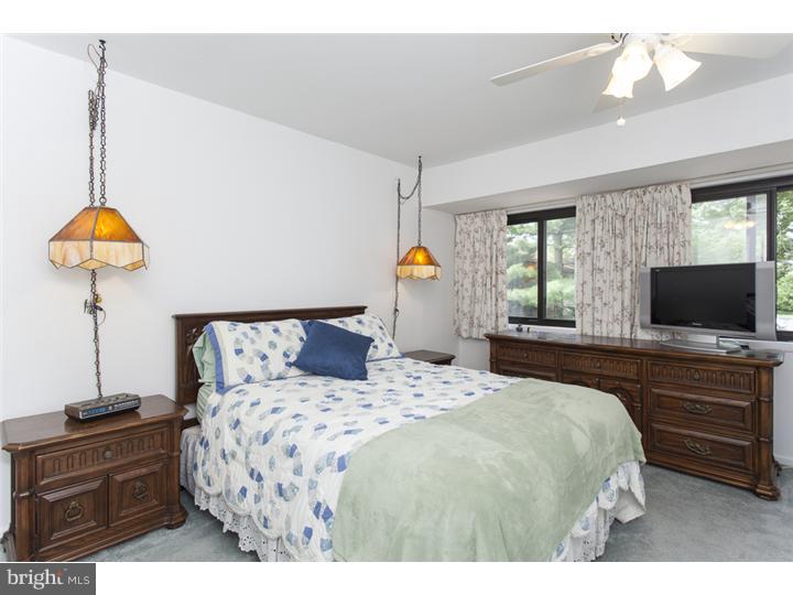 263 Bolton Road Hightstown, NJ 08520 - Photo 13 of 25 Master Bedroom