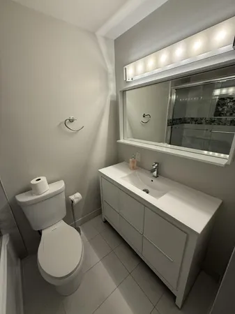 a bathroom with a sink toilet and mirror
