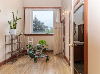 a view of a hallway with wooden floor and a potted plant
