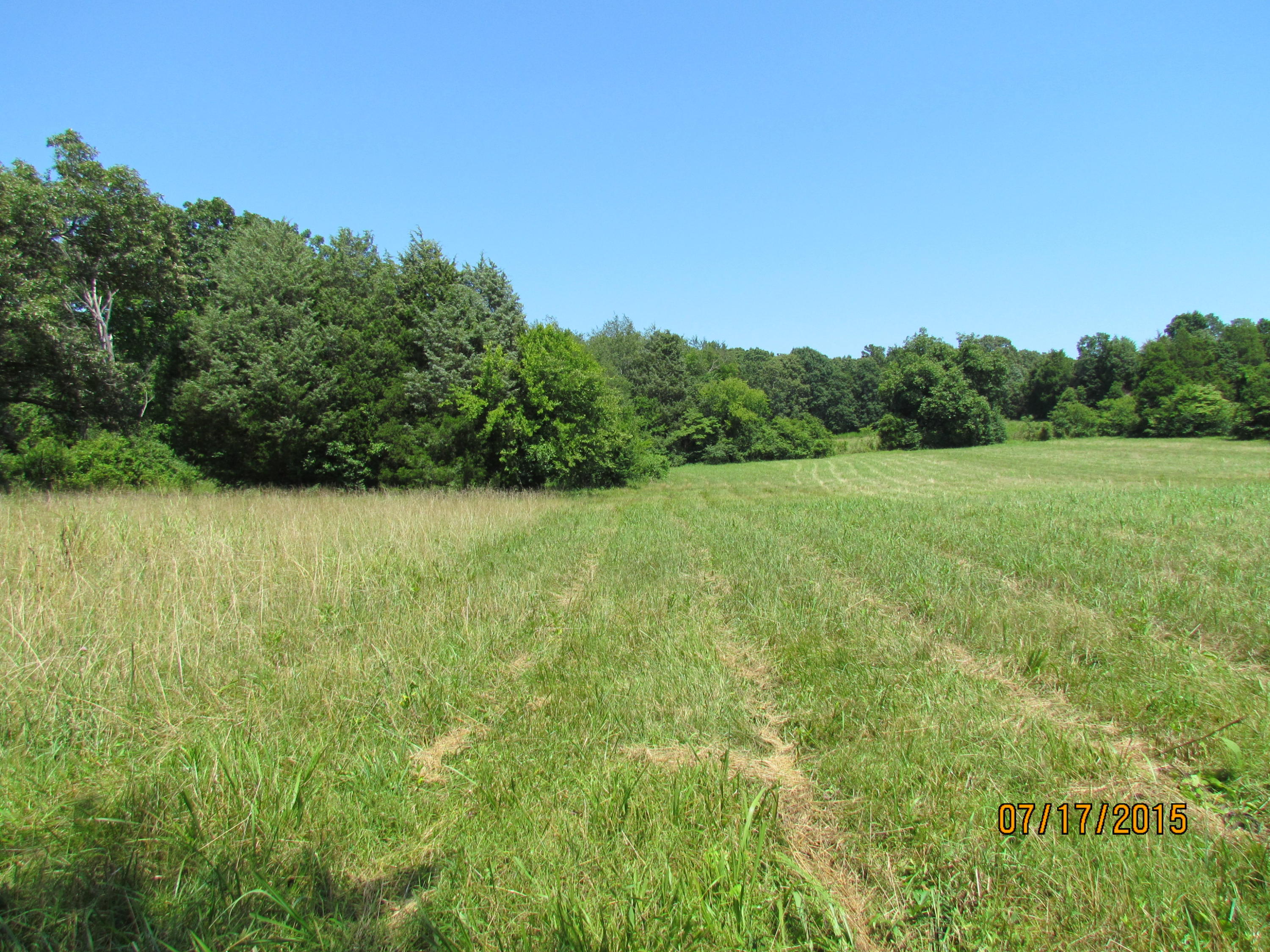 366 Corinth Church Road Loudon, TN 37774 - Photo 8 of 37 8