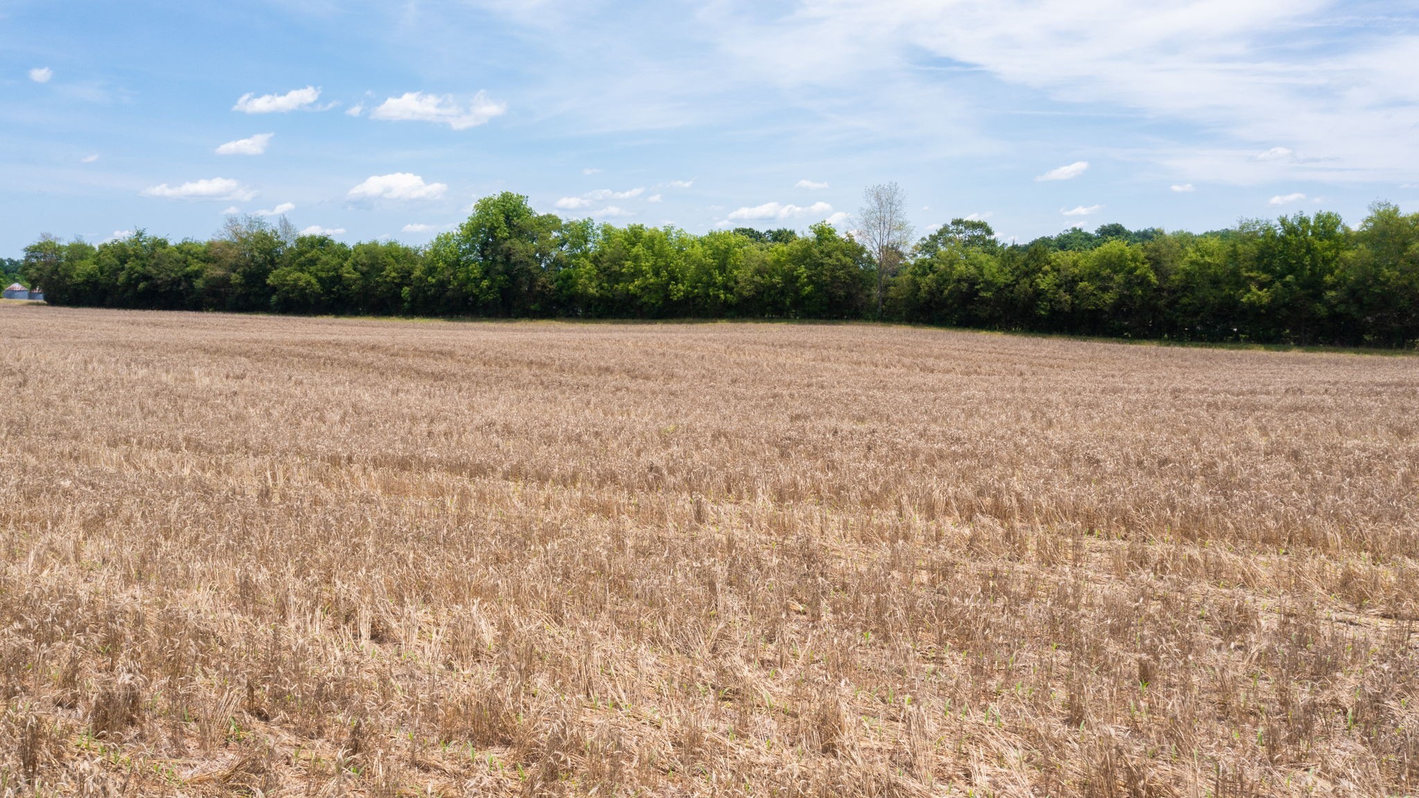 332 Coble Road Shelbyville, TN 37160 - Photo 26 of 30