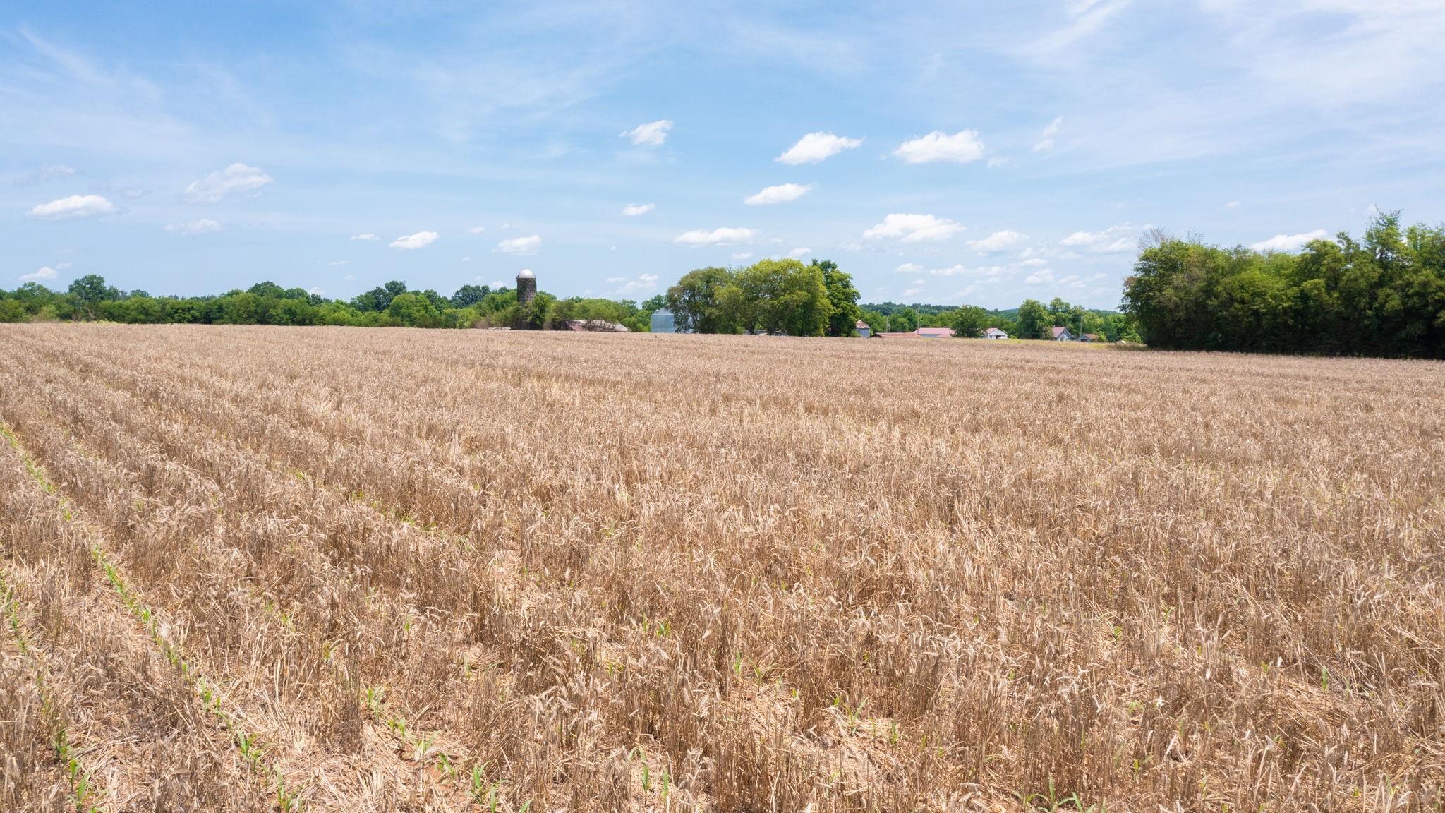 332 Coble Road Shelbyville, TN 37160 - Photo 29 of 30 a view of an outdoor space and a yard