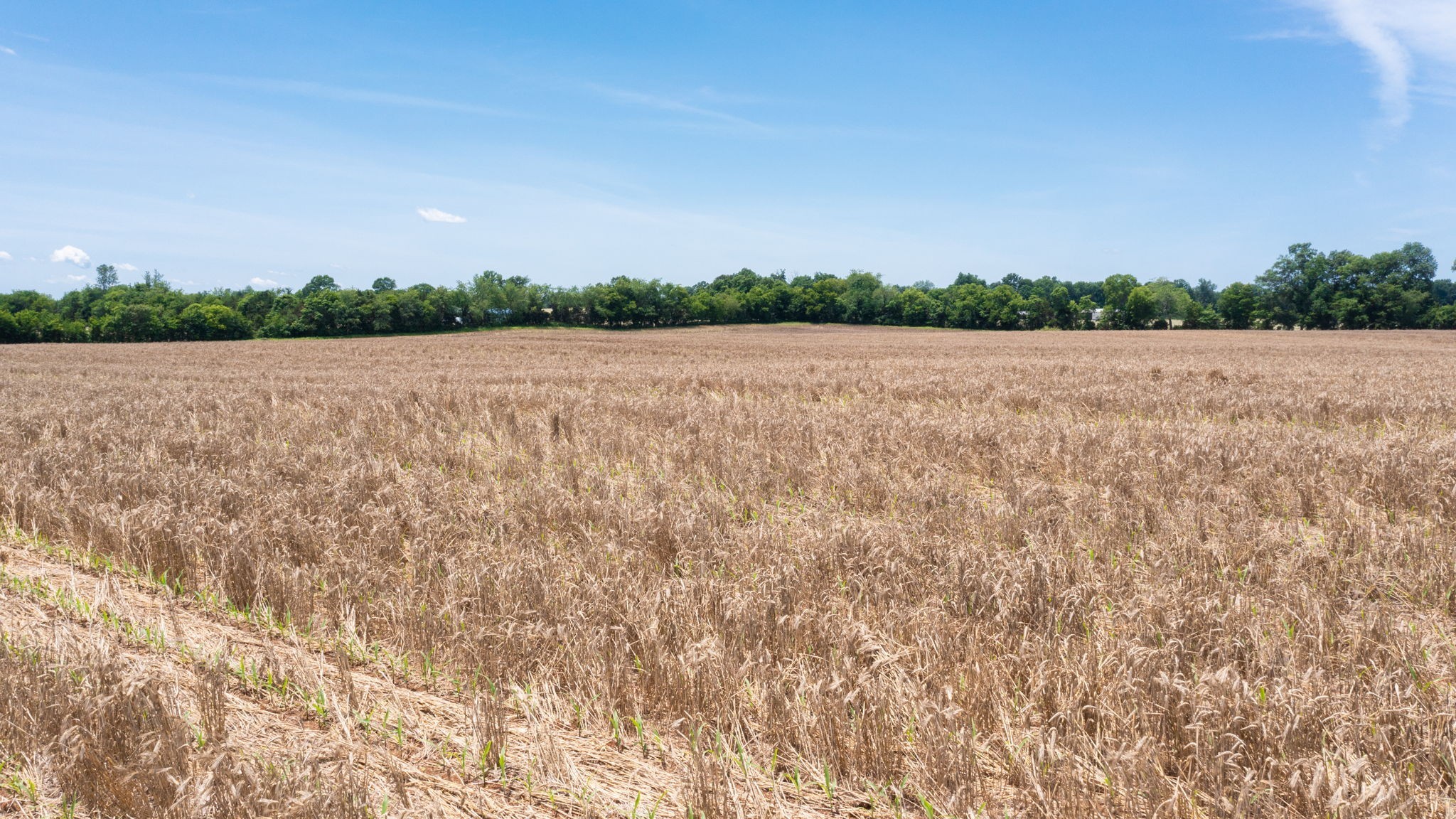 332 Coble Road Shelbyville, TN 37160 - Photo 30 of 30 a view of lake and mountain