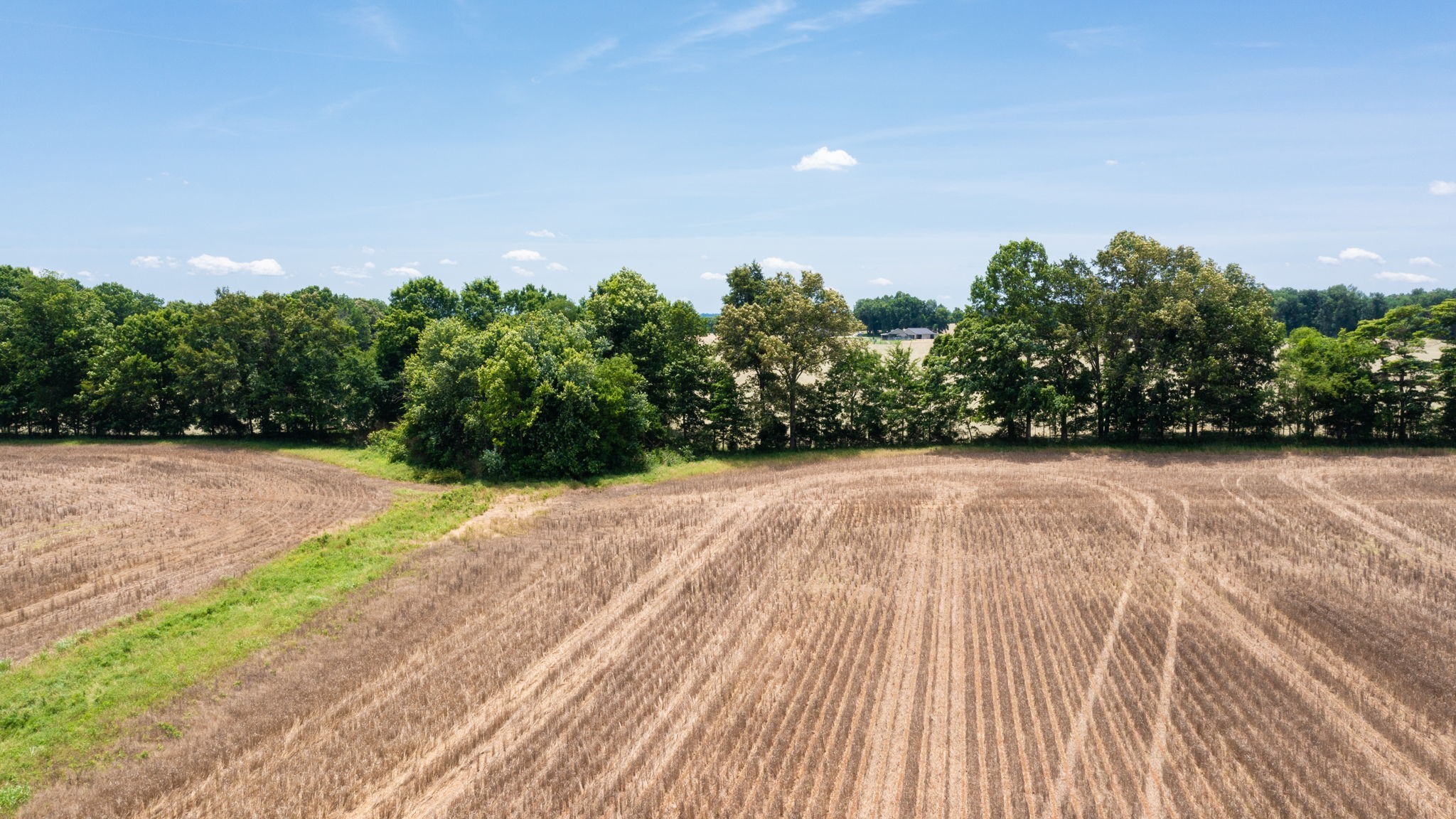 332 Coble Road Shelbyville, TN 37160 - Photo 3 of 30