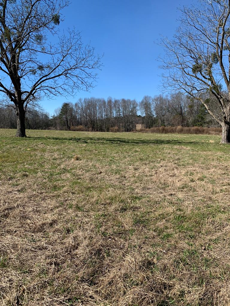1150 Wesley Church Road Junction City, GA 31812 - Photo 1 of 7 Main View
