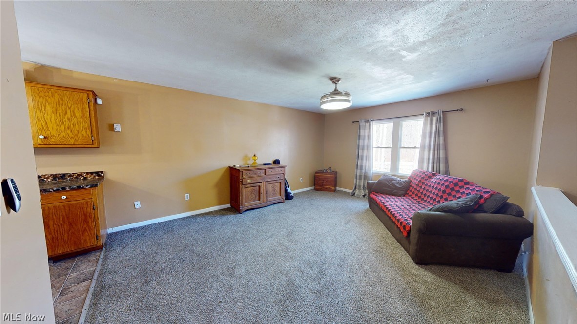 6970 Bushnell Road Conneaut, OH 44030 - Photo 15 of 28 Carpeted bedroom with a textured ceiling and ceiling fan