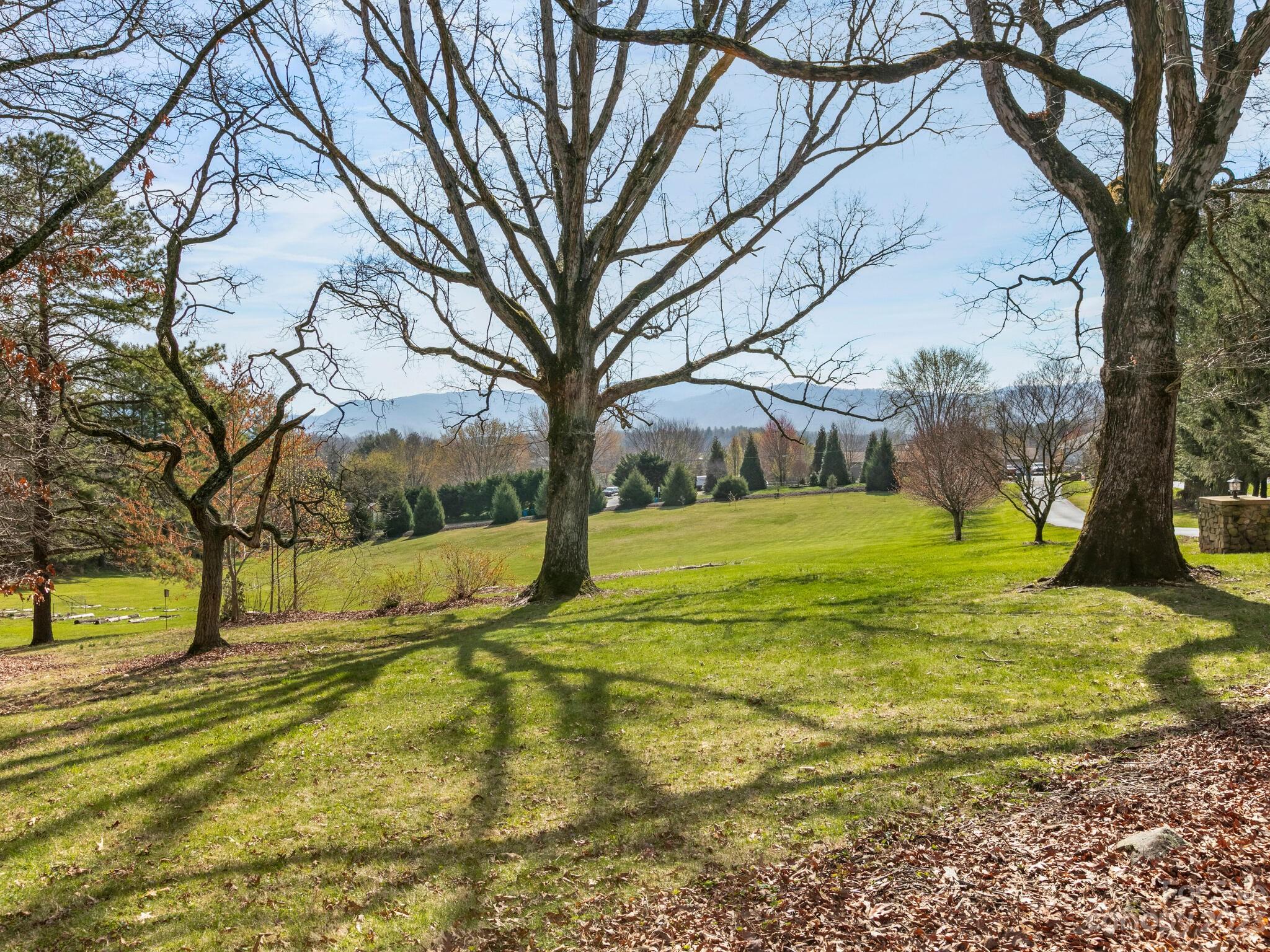 122 Emmas Grove Road Fletcher, NC 28732 - Photo 46 of 48 a view of yard with swimming pool