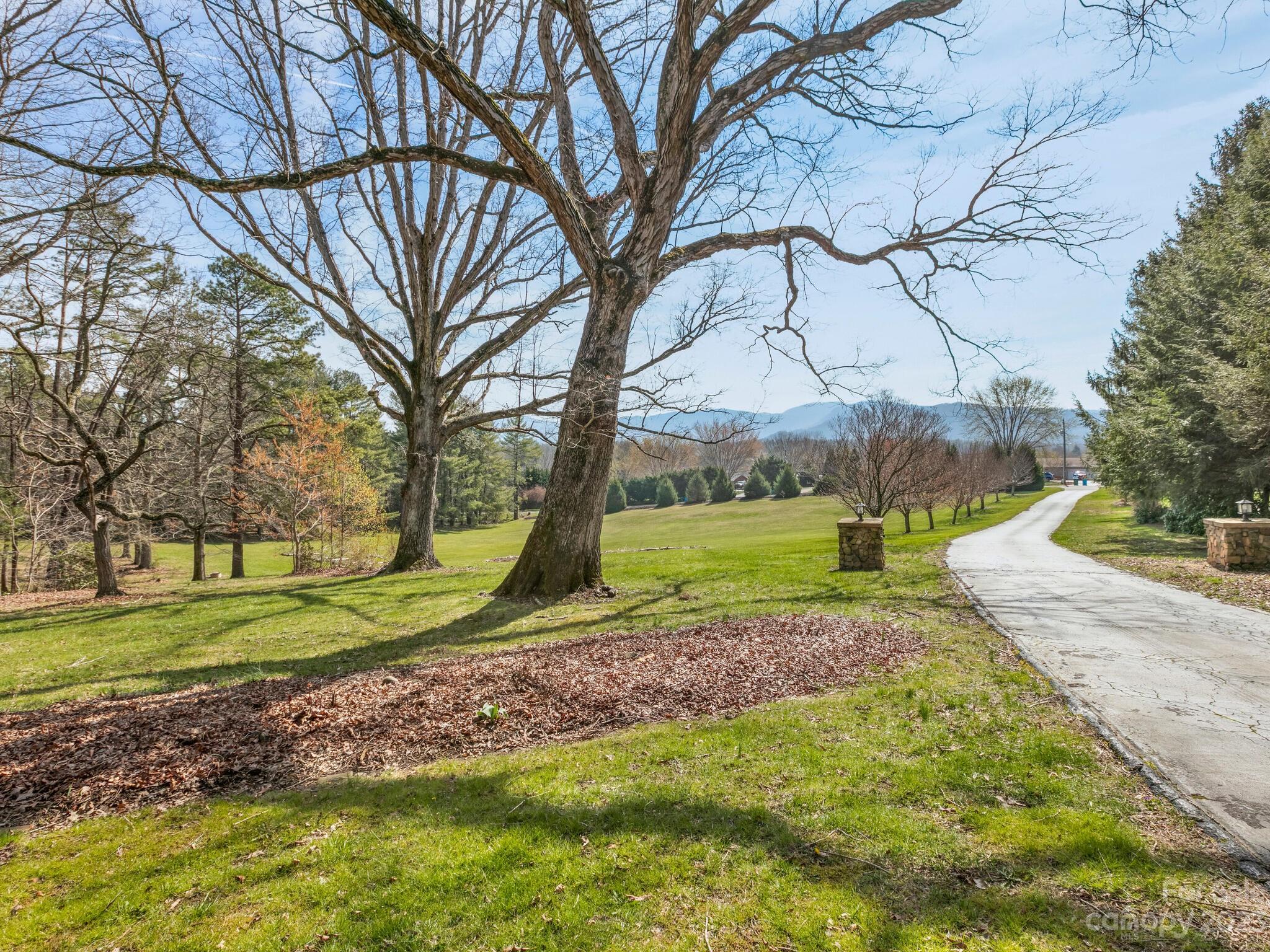 122 Emmas Grove Road Fletcher, NC 28732 - Photo 47 of 48 a view of a yard with a tree