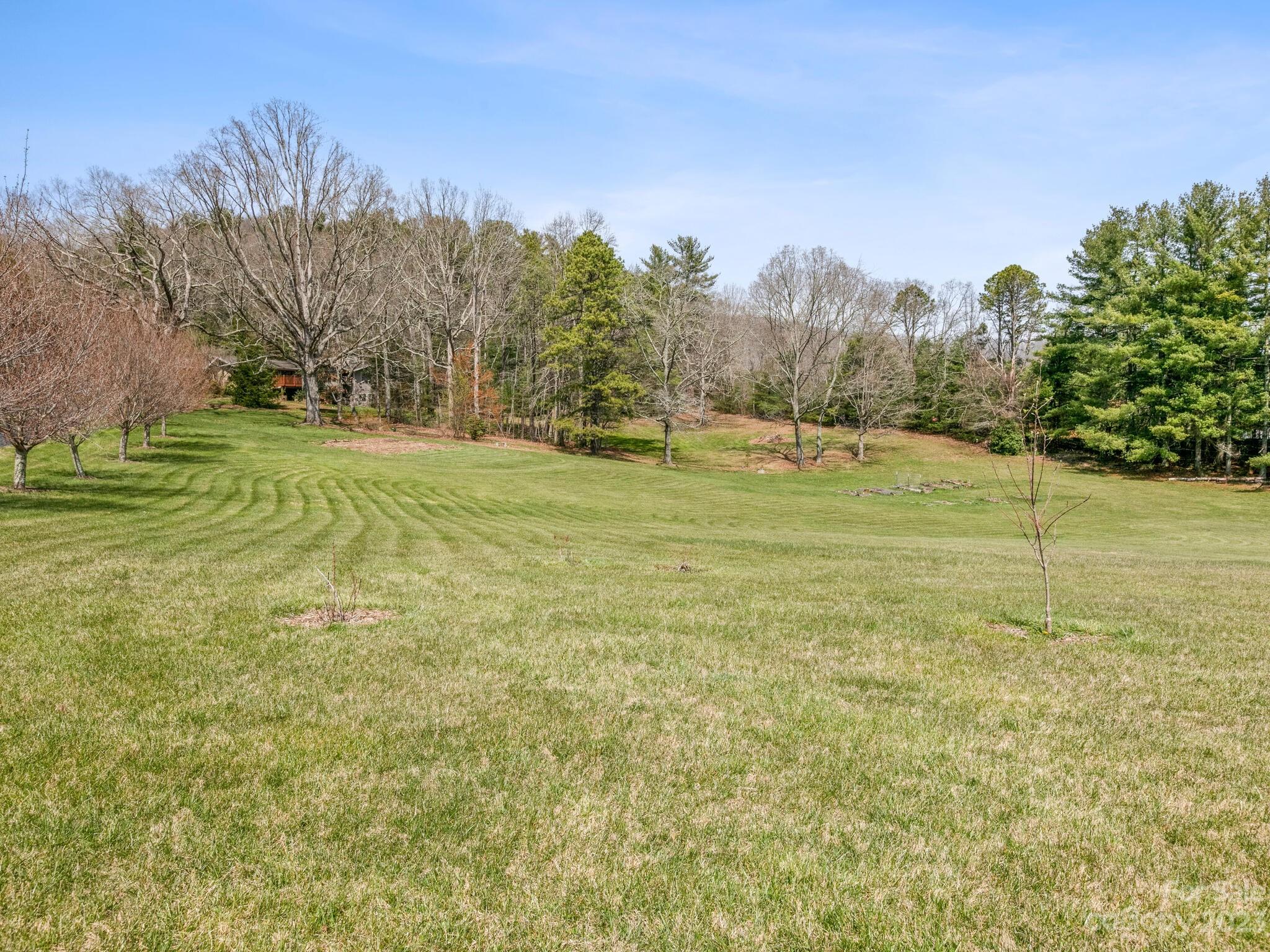 122 Emmas Grove Road Fletcher, NC 28732 - Photo 48 of 48 a yard with trees in the background