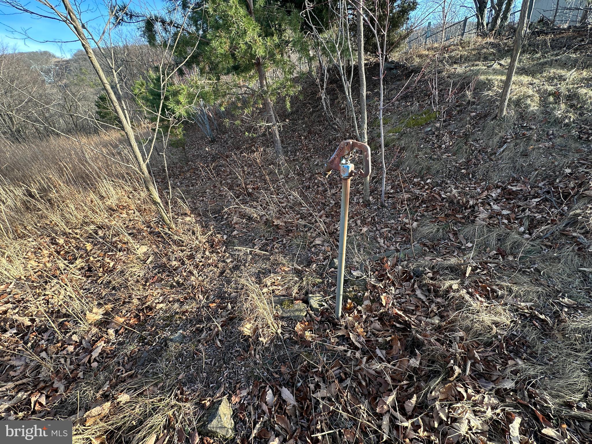 333 Nathaniel Mountain Road Moorefield, WV 26836 - Photo 33 of 65
