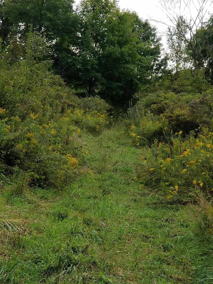 Parcel #1 Parcel Road Comstock Park, MI 49321 - Photo 11 of 24