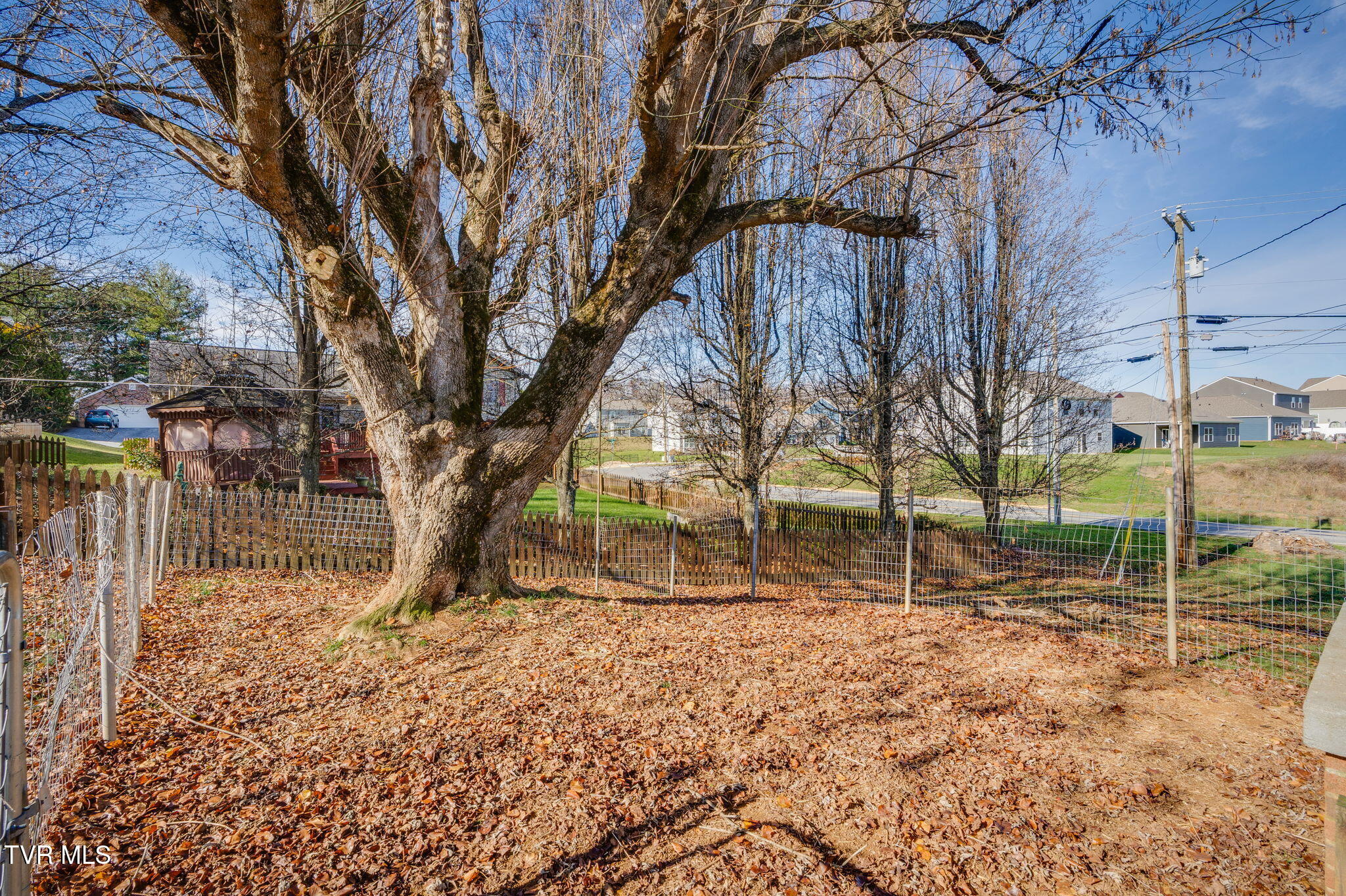 2907 Indian Ridge Road Johnson City, TN 37604 - Photo 31 of 37 030