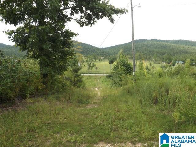 0 Shoal Creek Road Ashville, AL 35953 - Photo 4 of 25