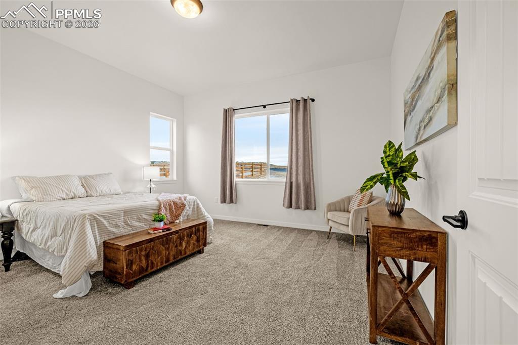 10139 Owl Perch Loop Colorado Springs, CO 80908 - Photo 17 of 45