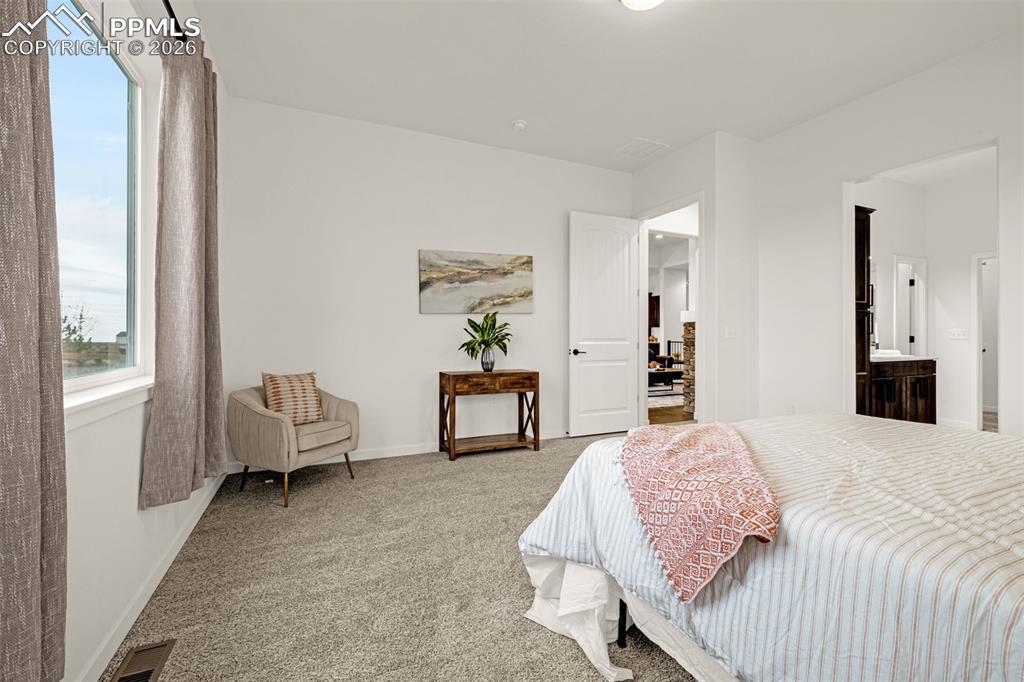 10139 Owl Perch Loop Colorado Springs, CO 80908 - Photo 18 of 45