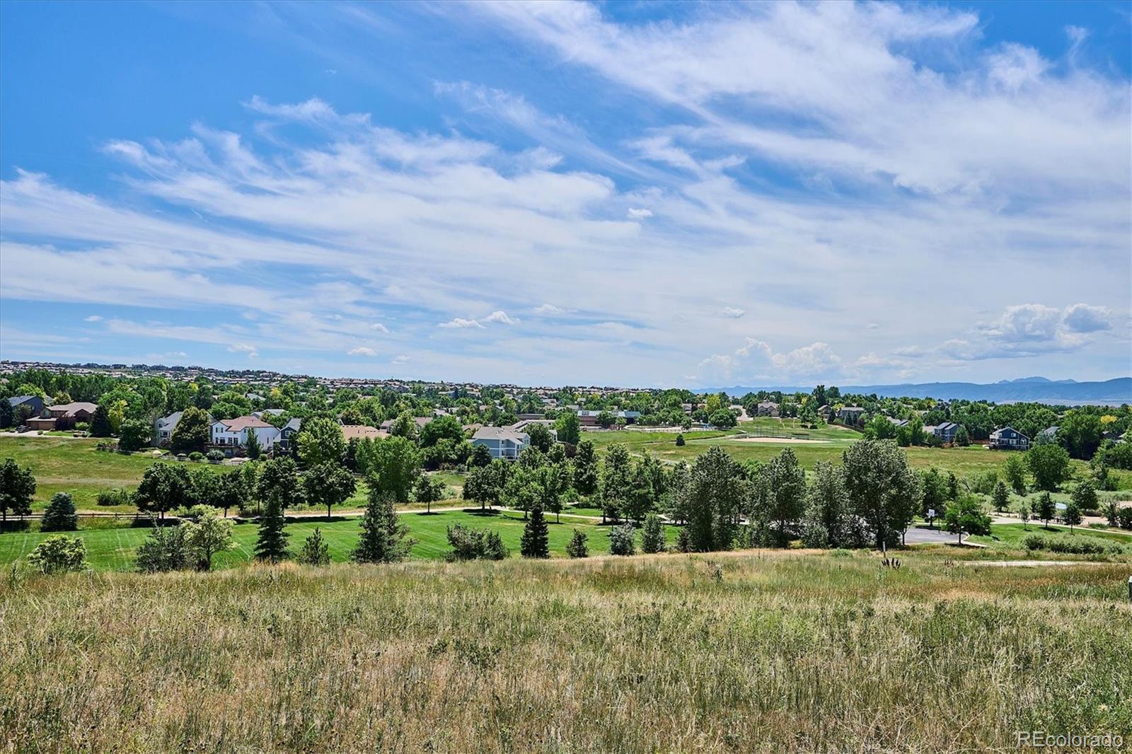 9875 Poppy Court Highlands Ranch, CO 80129 - Photo 29 of 46 Gallery Image 29