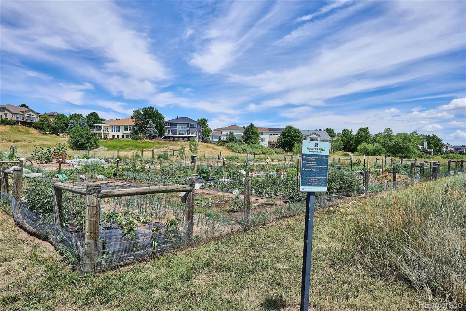 9875 Poppy Court Highlands Ranch, CO 80129 - Photo 45 of 46 Gallery Image 45