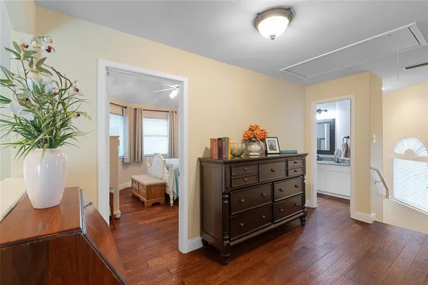 a room with furniture and a potted plant