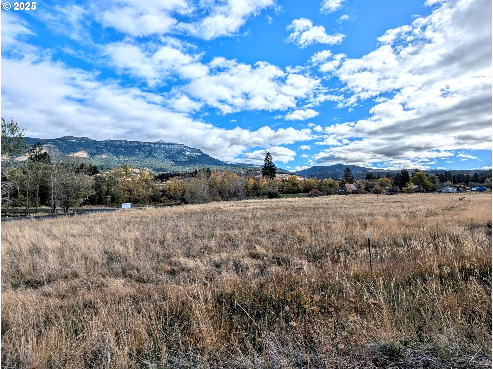 a view of a dry yard