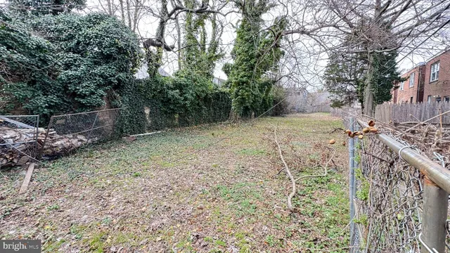 a view of a yard with plants and trees