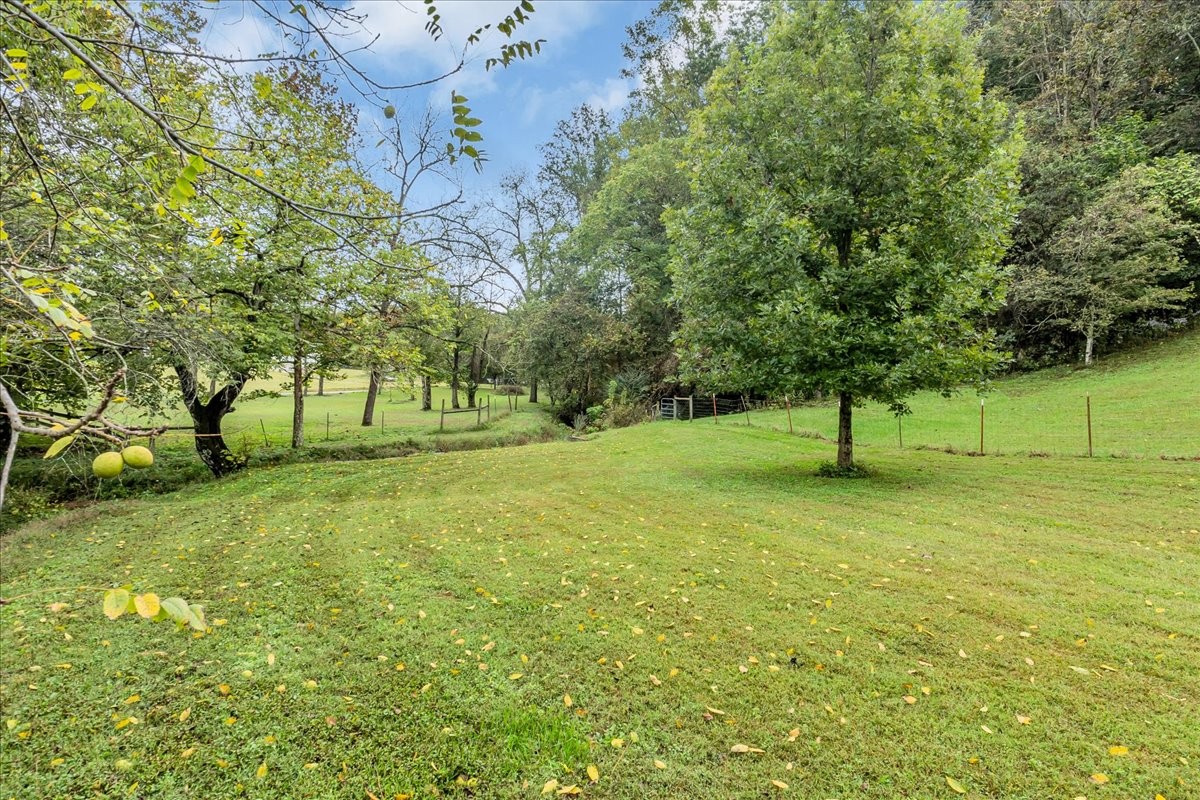 830 Bobo Hollow Road Lynchburg, TN 37352 - Photo 20 of 71 a view of green field with trees