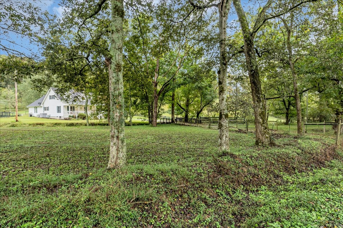 830 Bobo Hollow Road Lynchburg, TN 37352 - Photo 5 of 71 a view of a park with trees